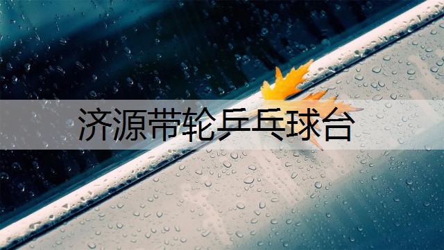 济源带轮乒乓球台