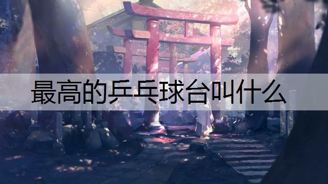 最高的乒乓球台叫什么