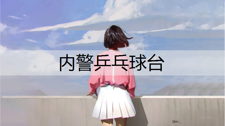 内警乒乓球台