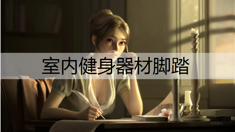 室内健身器材脚踏