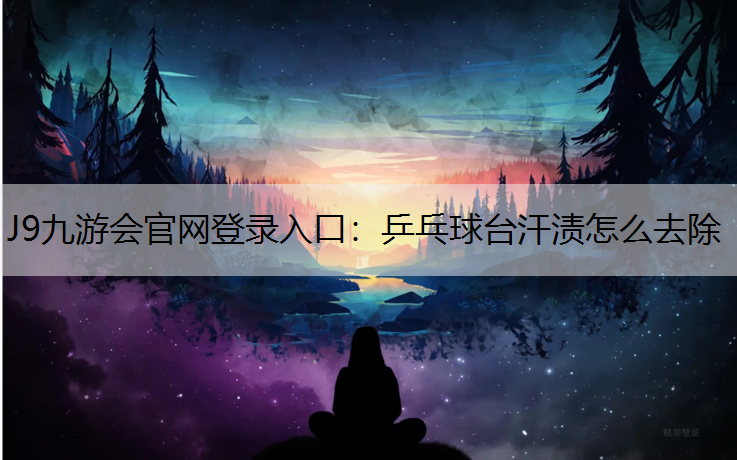 J9九游会官网登录入口：乒乓球台汗渍怎么去除