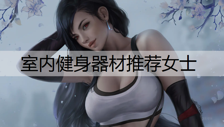 室内健身器材推荐女士