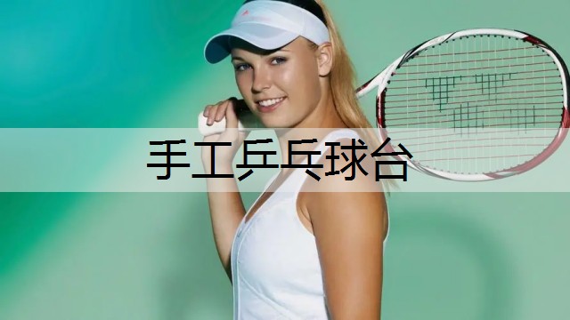 手工乒乓球台