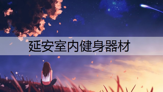 延安室内健身器材