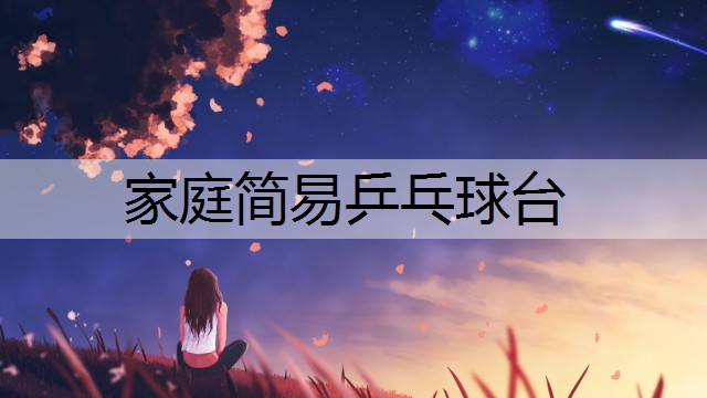 家庭简易乒乓球台 家庭简易乒乓球台