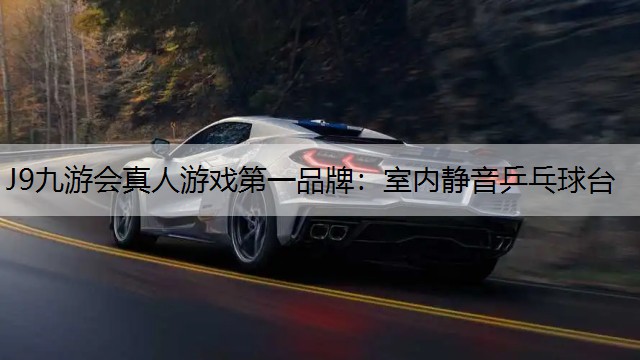 室内静音乒乓球台