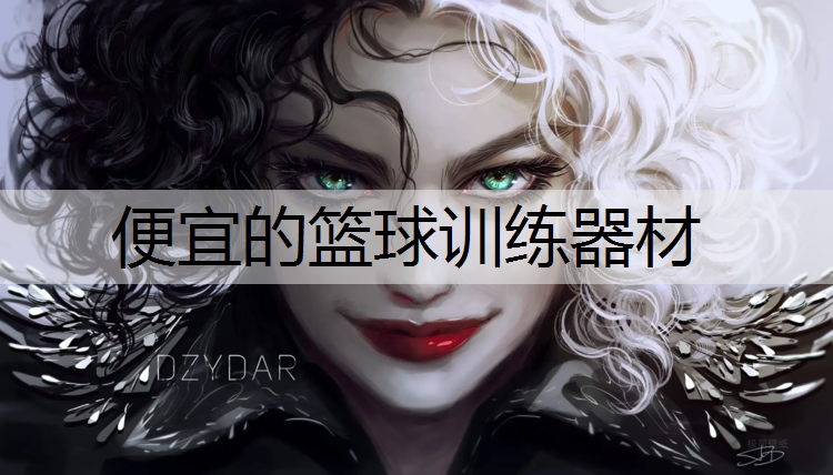 便宜的篮球训练器材