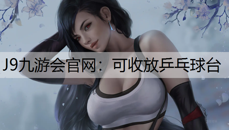 可收放乒乓球台