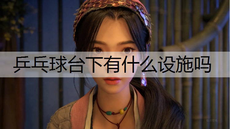 乒乓球台下有什么设施吗