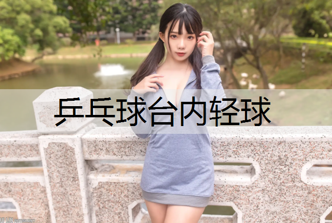 乒乓球台内轻球 乒乓球台内轻球