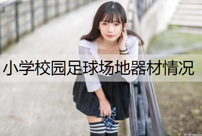 小学校园足球场地器材情况
